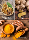 Roots Bundle: Turmeric, Finger Root, & Ginger